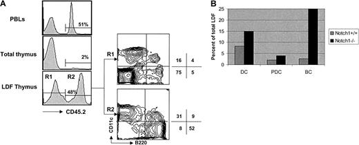 Fig. 4. Analysis of CD11c+ B220+ cells in (wt + Notch-1−/−) mixed BM chimeras. / PBLs and thymi of Notch-1+/+ chimeric mice were pooled and stained with anti-CD45.2–Cy5. LDF was also obtained from a pool of thymi that was 4-color stained with anti-CD45.2–Cy5, anti-CD11c–FITC, anti-B200–CyChrome, and anti-F4/80–biotin AvPE. Results are representative of 2 independent experiments. (A) Histograms show the reconstitution with Notch-1−/− BM precursors in PBLs, total thymus, and thymic LDF. Contour plots show CD11c versus B220 expression (after gating out F4/80+ cells), by thymic LDF derived from wt BM precursors (CD45.2−, R1) or from induced Notch-1−/− BM precursors (CD45.2+, R2). Numbers indicate the percentage of cells in the respective quadrant. (B) Bar diagram shows the relative proportion of DCs (CD11c+ B220−) and PDCs (CD11c+B220+) derived from wt BM precursors (gray bar) or induced Notch-1−/− BM precursors (black bar) in the thymic LDF. Numbers were obtained by multiplying the percentage of wt BM-derived cells (CD45.2−, 52%) or induced Notch-1−/−BM-derived cells (CD45.2+, 48%) by the percentage of DCs or PDCs indicated in the respective quadrants.