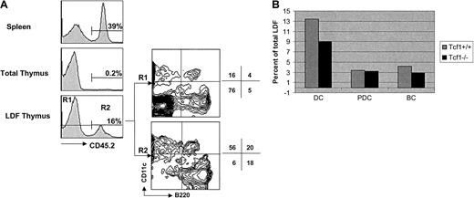 Fig. 5. Analysis of CD11c+ B220+ cells in (wt + Tcf1−/−) mixed BM chimeras. / Spleen and thymus cell suspension of chimeric mice were stained with anti-CD45.2–Cy5. LDF obtained from the thymus was 4-color stained with anti-CD45.2–Cy5, anti-CD11c–FITC, anti-B220–CyChrome, and anti-F4/80–biotin AvPE. Results shown here are representative of 2 independent experiments. (A) Histograms show the reconstitution with Notch-1−/− BM precursors in spleen, total thymus, and thymic LDF. Contour plots show CD11c versus B220 expression (after gating out F4/80+ cells) by thymic LDF derived from wt BM precursors (CD45.2−, R1) or from Tcf-1−/− BM precursors (CD45.2+, R2). Numbers indicate the percentage of cells in the respective quadrant. (B) Bar diagram shows the relative proportion of DCs (CD11c+ B220−) and PDCs (CD11c+ B220+) derived from Tcf1+/+BM precursors (gray bar) or Tcf-1−/− BM precursors (black bar) in the thymic LDF. Numbers were obtained by multiplying the percentage of wt BM-derived cells (CD45.2−, 84%) or Tcf1−/− BM-derived cells (CD45.2+, 16%) by the percentage of DCs or PDCs indicated in the respective quadrants.