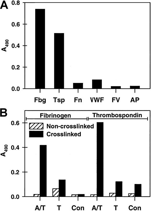 Fig. 2. Photo cross-linking of a serotonin conjugate to COAT-platelets. / B-BSA-(5-HT)6 conjugated with 4-azido-2,3,5,6-tetrafluorobenzoic acid was used in COAT-platelet production7 as described in “Materials and methods.” (A) After activation, cells were UV irradiated, lysed, partially digested with chymotrypsin, and added to microtiter plates coated with antibodies against platelet α-granule proteins: fibrinogen (Fbg), thrombospondin (Tsp), fibronectin (Fn), von Willebrand factor (VWF), factor V, and α2-antiplasmin (AP). Bound biotin was detected with streptavidin-peroxidase. (B) A more extensive examination of b-BSA-(5-HT)6 cross-linking to Fbg and Tsp. Ionophore/thrombin (A/T)–activated, thrombin (T)–activated, and control platelets were analyzed with and without photo cross-linking. Biotin bound to either anti-Fbg or anti-Tsp was detected as in the previous panel.