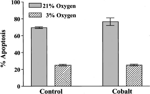 Fig. 9. Effect of cobaltous chloride on neutrophil apoptosis. / Neutrophils (5 × 106/mL) were incubated in the presence or absence of cobaltous chloride (100 μM) for 20 hours in atmospheres containing 21% or 3% oxygen. Apoptosis was assessed morphologically, and data represent mean ± SD of triplicate incubations from 1 of 2 representative experiments.