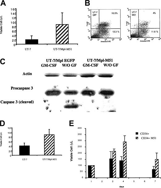 Fig. 3. Increased survival in FKBP51 overexpressing cells. / (A) UT-7/Mpl cell survival in cytokine-free medium. UT-7/Mpl cells were infected with a retrovirus encoding both FKBP51 and EGFP or a control vector containing EGFP alone. EGFP+ cells were sorted and permanent cell lines were obtained in the presence of GM-CSF. Cells were deprived in GM-CSF and living cells were counted at day 2 by trypan blue exclusion test or MTT test. Results from the trypan blue exclusion test are presented. EGFP+ cells and the wild-type UT-7/Mpl cells have similar survival, whereas FKBP51 overexpressing UT-7 stay alive for up to 5 days after cytokine deprivation (P = .0035). (B) Increased survival of UT-7/Mpl overexpressing FKBP51 is related to a resistance to apoptosis. UT-7/Mpl expressing EGFP and UT-7/Mpl overexpressing FKBP51 cells (UT-7/Mpl-M51) were grown in the presence of GM-CSF. Cytokine deprivation was performed for 36 hours, and binding of annexin V was assessed by flow cytometry. Cells dead by apoptosis (positive for both 7-AAD and annexin V) were markedly reduced in UT-7/Mpl-M51 cells (4%) in comparison to UT-7/Mpl-EGFP cells (16.5%). (C) Inhibition of procaspase-3 cleavage by overexpression of FKBP51. Western blots were performed in UT-7/Mpl expressing EGFP and UT-7/Mpl cells overexpressing FKBP51 cultured with GM-CSF or without growth factor for 24 hours. Cleavage of procaspase-3 was noticed in normal cells after cytokine withdrawal (lane 2) but not in UT-7/Mpl cells overexpressing FKBP51 (lane 4). (D) UT-7/Mpl cell survival in GM-CSF after daunorubicin treatment. UT-7/Mpl expressing EGFP and UT-7/Mpl overexpressing FKBP51 cells (UT-7/Mpl-M51) were grown in the presence of GM-CSF and treated by 5 μM daunorubicin. Cell survival was evaluated 24 hours later (P = .023). (E) CD34+ cell survival in serum-free cytokine-free medium. Normal CD34+ cells were transduced by retroviral vector encoding both FKBP51 and EGFP or EGFP alone after 48 hours of stimulation by cytokines. Cells were then cultured in serum-free medium at 50 000 cells/mL. Cell survival was evaluated by counting cells each day using the trypan blue exclusion test. Results are the average of 3 experiments (day 3,P = .083; day 4, P = .027; day 7,P = .023).