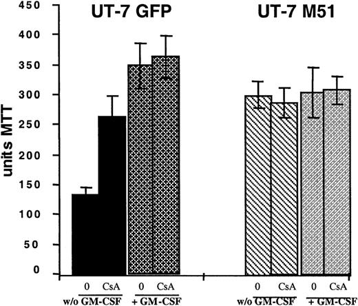 Fig. 6. Effect of CsA on UT-7/Mpl cell survival. / UT-7 cells overexpressing EGFP or FKBP51 were cultured with or without GM-CSF and with or without CsA (1 μg/mL) for 48 hours. The MTT test was performed. Cell survival was tested by an MTT test. CsA partially reverted cell death induced by cytokine withdrawal in normal cells but had no significant effect on the survival of UT-7/Mpl cells overexpressing FKBP51.