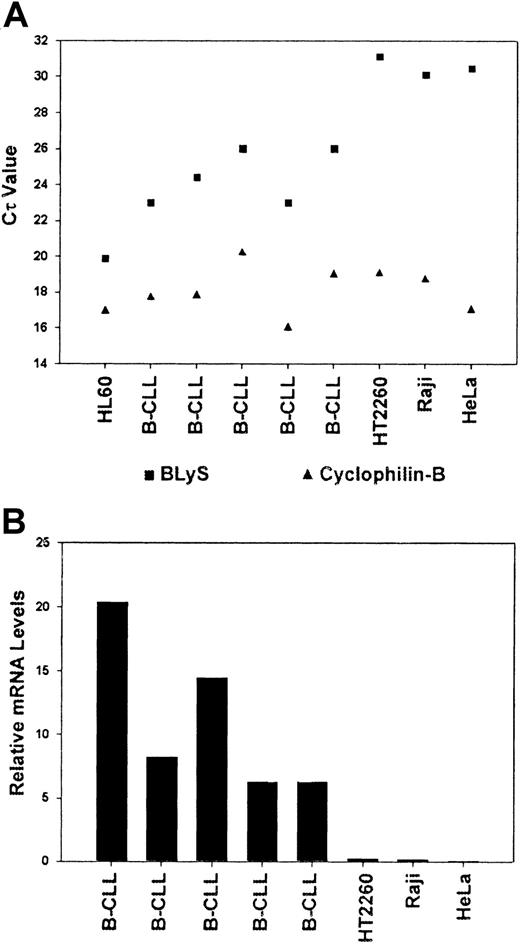 Fig. 4. Quantitative expression of BLyS mRNA in CLL-B cells. / Real-time PCR was performed on RNA samples isolated from CD19+ B-CLL cells, HL60 myelomonocytic cells, HT2260 and Raji B lymphoblastic cells, or HeLa cells. Quantitative PCR analysis was completed using ABI PRISM 7000 SDS software as described in “Materials and methods.” Cτ values were collected for cyclophilin and BLyS during log phase of the cycle and are shown in panel A. (B) BLyS levels were normalized to cyclophilin for each sample. HL60 cells were assigned a relative expression value of 100.
