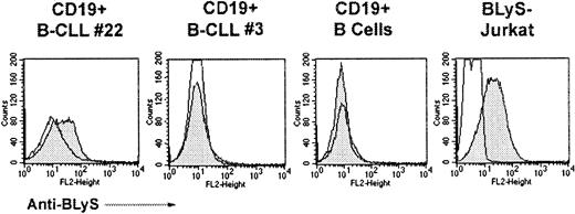 Fig. 5. Cell surface expression of BLyS on CLL-B cells. / Surface expression of BLyS was determined by FACS. CD19+B-CLL, CD19+ normal B cells, or BLyS-Jurkat cells were incubated with anti-BLyS (gray histograms) and a secondary antibody, anti–rat-PE. Isotype and fluorochrome controls were done for each sample (open histograms).