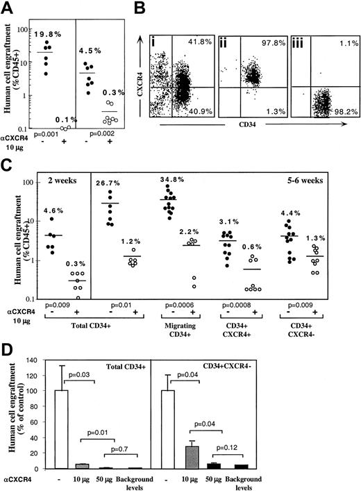 Fig. 1. CXCR4-dependent engraftment of human CD34+ cells. / (A) BM engraftment of NOD/SCID mice, by enriched human CD34+ cells derived from peripheral blood of G-CSF–treated donors (MPB) or BM aspiration of healthy donors. BM of mice that underwent transplantation was harvested 1 month later; human/mouse chimerism was determined by flow cytometry using antihuman-specific CD45-FITC mAb. Human CD34+ cells (2 × 105cells/mouse) were transplanted without (●) or with (○) anti-CXCR4 mAb (10 μg/mouse). Each dot represents one mouse. Data summarize results of 3 independent experiments. P values are indicated. (B) CB enriched CD34+ cells (Bi) were further sorted with neutralizing antihuman CXCR4 mAb to R4+ (Bii), and R4− (Biii) purified subsets. (C) Murine BM engraftment of CB CD34+ subsets. Enriched CD34+ subset cells were pretreated and coinjected as described for panel A. Data summarize results of 4 independent experiments. P values are indicated. (D) Dose-dependent inhibition of BM repopulation by anti-CXCR4 mAb. Dose-dependent activity of 12G5 mAb is demonstrated by coinjecting 10 μg/mouse versus 50 μg/mouse. Human cell engraftment in the murine BM is presented. ■ indicates untreated CD34+ cells. ░ indicates coinjection of 10 μg/mouse. ▪ indicates coinjection of 50 μg/mouse or background levels determined by staining with isotype control mAb, as indicated.P values are indicated. Data present values of 3 experiments.