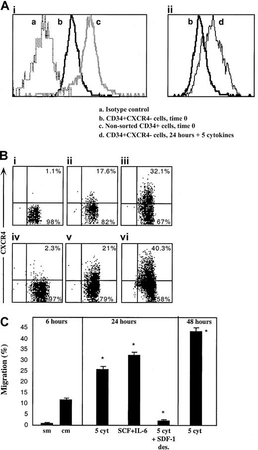 Fig. 3. Up-regulation of intracellular and cell surface CXCR4, functionally expressed by R4− sorted cells. / CXCR4 expression by R4− cells was determined following cell sorting and after in vitro cultures. (A) Intracellular CXCR4 expression. (Ai) Time 0. (a) Isotype control antibody, (b) R4− sorted cells time 0, (c) nonsorted total CD34+ cells. (Aii) Up-regulation following 24 hours with 5 cytokines. (b) R4− sorted cells time 0, (d) R4− cells cultured for 24 hours with 5 cytokines. (B) Cell surface staining. (Bi) Time 0. (Bii) Migrating cells following 2 hours of sorting plus 4 hours in transwells. (Biii) 24 hours with 5 cytokines. (Biv) 24 hours with 5 cytokines plus a high concentration of SDF-1, 1μg/mL. (Bv) 24 hours without cytokines. Cell viability was 56%. (Bvi) 48 hours with 5 cytokines. (C) In vitro migration. sm indicates spontaneous migration—without SDF-1 at the lower chamber; cm, migration of sorted cells toward SDF-1. Culture conditions: 5 cyt indicates 5-cytokine combination. SDF-1 des indicates 1μg/mL SDF-1. A-B, representative FACS analyses. Data summarize 3 experiments.