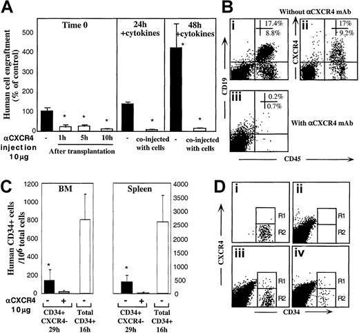 Fig. 4. CXCR4 mediates homing and repopulation of NOD/SCID mice by R4− cells. / (A) Transplantation of R4− cells at day 0 (▪, left panel), followed by antihuman CXCR4 mAb intraperitoneal injection at the indicated time points (■, left panel). R4− cells cultured with 5-cytokine combination for 24 hours (middle panel) or 48 hours (right panel) were coinjected without (▪) or with (■) anti-CXCR4 mAb (10 μg/mouse). Engraftment levels were determined 5 to 6 weeks later. Data present mean ± SE values of 3 independent experiments, 4 mice per group; P < .05. (B) Representative FACS analysis of BM samples of highly engrafted mice that received transplants of R4− cells cultured for 48 hours with 5 cytokines. (Bi) Cells injected without (Bi-Bii) or with (Biii) anti-CXCR4 mAb (10 μg/mouse). Samples were stained with antihuman CD45 and CD19 (Bi, Biii) or CXCR4 (Bii). (C) Homing of R4− cells and enriched CD34+ cells into the BM and spleen of NOD/SCID mice that underwent transplantation at indicated time points; P < .05. Three experiments are summarized. (D) Representative FACS analysis of homed human cells to the murine BM. (Di) R4− cells, time 0, before transplantation. (Dii) Nontransplanted mouse BM. (Diii) A mouse that received a transplant of total CD34+ cells (16 hours following transplantation). (Div) A mouse that received a transplant of R4− sorted cells, time 0 sorted cells and cells in the murine BM 29 hours following transplantation.