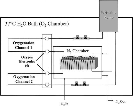 Fig. 1. Dual channel fast cycle apparatus. / The FCA consists of 2 identical channels with 3 sections: a peristaltic pump, a deoxygenator, and an oxygenator. The cell suspension flows in a continuous, closed circuit.