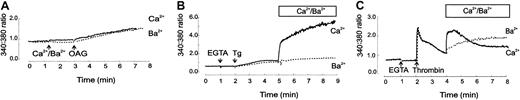 Fig. 4. Cation influx in response to oleoyl acetyl glycerol (OAG), thapsigargin (Tg), and thrombin. / Fura-2–loaded platelets were incubated at 37°C with additions (marked with arrows), and the ratio (340:380 nm) fluorescence increases were measured in experiments using extracellular Ca++(continuous line) or Ba2+ (dashed line). (A) 1 mM Ca++ or Ba2+ was added to platelets followed by 60 μM OAG 2 minutes later. The increase in ratio fluorescence 4 minutes after OAG addition was 0.588 ± 0.072 (n = 13) and 0.58 ± 0.056 (n = 9) ratio units, for Ca++ and Ba2+, respectively; P = .93. (B) 100 μM EGTA was added to platelets, followed by 3 μM Tg 1 minute later. 1 mM Ca++ or 1 mM Ba2+ was added 3 minutes later, and fluorescence recordings continued for a further 4 minutes. Increase of ratio fluorescence 4 minutes after cation addition was 3.24 ± 0.354 (n = 4) and 0.46 ± 0.05 (n = 6) for Ca++ and Ba2+, respectively;P < .001 (C) 1 U/mL thrombin was added 1 minute after 100 μM EGTA. 2 minutes later either 1 mM Ca++ or Ba2+ was added. Ratio fluorescence increases with 1 mM Ca++ were at peak (0.5 minutes) 1.2 ± 0.082 and plateau (4 minutes) 0.46 ± 0.138 (n = 4); and for Ba2+ at 0.5 minutes was 0.29 ± 0.02 and at plateau 0.66 ± 0.053 (n = 6); at 0.5 minutes P < .001, at 4 minutesP = .153.