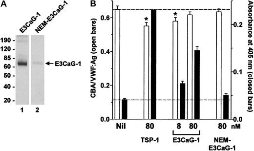 Fig. 5. Alkylation of the cysteine thiol in E3CaG-1 ablates the VWF-reducing activity. / (A) E3CaG-1 or NEM-alkylated E3CaG-1 (NEM-E3CaG-1) was incubated with MPB, resolved on SDS-PAGE, and blotted with streptavidin-peroxidase to detect the biotin label. The positions of Mr markers are shown at left. (B) VWF (8 nM) was incubated with 80 nM TSP-1, 8 or 80 nM E3CaG-1 or 80 nM NEM-E3CaG-1. Aliquots of the reactions were analyzed for the average VWF multimer size (■) and for the generation of new thiols in VWF (▪). The dotted lines represent no change in VWF multimer size (top line) or thiols in VWF (bottom line). The asterisks indicate significant difference compared to control (P < .05).