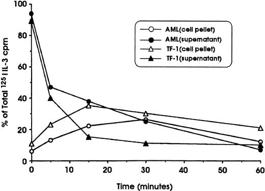 Fig. 5. Study of 125I–IL-3 internalization into leukemic blasts and erythroleukemic TF-1 cells. / Cells were first incubated for 120 minutes at 4°C in the presence of 20 ng/mL 125I–IL-3, washed, and incubated at 37°C in RPMI 1640 medium. At regular time intervals (from 0 to 60 minutes), aliquots of cell suspensions were harvested and centrifuged; the cell pellet was then resuspended in an acid solution and centrifuged again. Finally, after centrifugation, the radioactivity in cell supernatant and pellet was determined. The radioactivity in the supernatant represents cell-surface–associated IL-3, whereas the radioactivity in the cell pellet represents internalized IL-3.