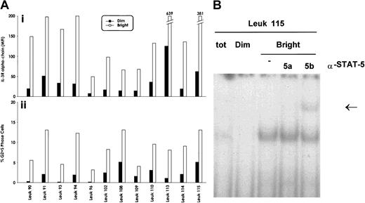 Fig. 7. Cell cycle status and IL-3Rα expression of AML blasts. / (A) Evaluation of the proportion of cycling blasts at the level of IL-3Rαbright and IL-3Rαdimsubpopulations, separated as reported in panel A. (i) The mean fluorescence intensity values of the separated IL-3Rαbright and IL-3Rαdimsubpopulations; (ii), the percentage of cycling cells of the IL-3Rαbright and IL-3Rαdim populations. Data from 12 AML patients are reported. (B) Stat5 DNA binding activity was evaluated in the IL-3Rαbright and IL-3Rαdim subpopulations by EMSA using SBE sequence on the β-casein promoter.