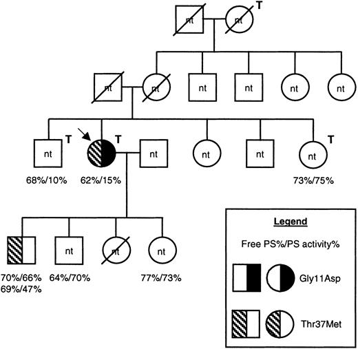 Fig. 1. Pedigree of the family under investigation. / Males are shown as squares, females as circles, and deceased family members are crossed through. The proposita is indicated with an arrow, and family members who had experienced venous thrombosis are indicated with a T above and to the right of the symbol. Information regarding protein S levels is shown for all 6 family members for whom it was available, as indicated in the legend. For one individual, protein S levels were assessed on 2 separate occasions. DNA was available only from 2 family members. The presence of the Gly11Asp and Thr37Met mutations are indicated by a left-hand half-filled symbol and by a right-hand filled symbol, respectively (see legend). nt indicates family members for whom the genetic status was not tested; PS, protein S.