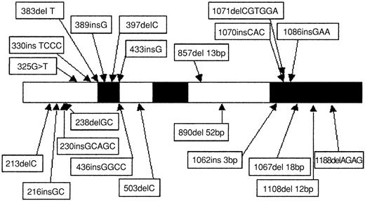Fig. 1. Schematic representation and location of the 22. / CEBPA mutations. Black boxes represent functional domains (TAD1, TAD2, and bZIP, respectively). The 1086insGAA mutation was found in 2 patients (patients 9 and 10).