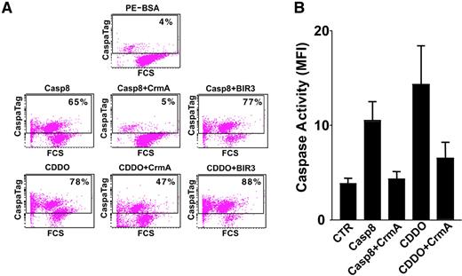 Fig. 5. CDDO activation of the extrinsic apoptosis pathway in CLL B cells. / CLL B cells were cultured in the presence or absence of 1 μM CDDO, or they were electroporated with caspase-8, with or without CrmA (10 μM) or XIAP-BIR3 (20 nM), along with PE-BSA (4 μg/mL) fluorescent marker protein. Effector caspase activity was determined by CaspaTag assay (n = 5). (A) Representative FACS histogram is presented, showing CaspaTag fluorescence (y-axis) versus forward scatter (x-axis) for the gated 7-AAD−, PE-BSA+ population. The horizontal line indicates the cutoff of cells with activated effector caspases. (B) Data from 5 experiments were averaged (± SE), showing relative levels of caspase activity (MFI).