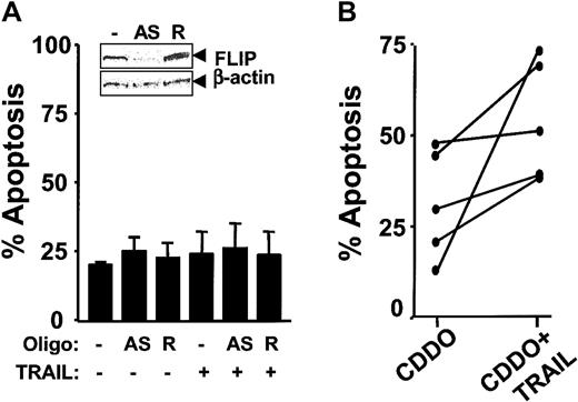 Fig. 8. Effects of FLIP antisense and TRAIL on CLL B cells. / (A) Antisense (AS) FLIP or random (R) control oligonucleotides (300 nM) were introduced into CLL B cells by electroporation. CLL B cells were then cultured overnight in the presence or absence of 100 nM TRAIL. The CLL B cells were recovered from cultures, and the percentage of apoptosis was determined by annexin V–FITC/PI double staining by means of flow cytometric analysis (bottom). Simultaneously, protein-containing lysates were prepared, normalized for total protein content (12.5 μg per lane), and analyzed by SDS-PAGE/immunoblot assay with the use of antibodies specific for FLIP or β-actin (top). (Data are representative of 3 independent experiments.) (B) Freshly isolated CLL B cells were cultured in the presence or absence of 1 μM CDDO. After 6 hours, 100 nM TRAIL was added, and the CLL B cells were cultured overnight. The percentage of apoptosis was determined by double staining with annexin V–FITC and PI with the use of flow cytometric analysis. Shown are the CLL patient specimens in which CDDO by itself induced less than 50% apoptosis (n = 5, of a total of 30).