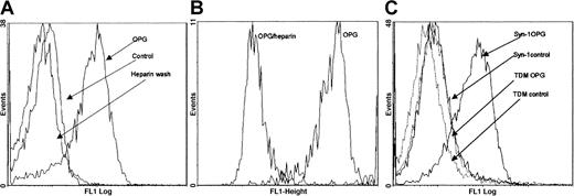 Fig. 2. Binding of OPG to myeloma cells. / (A) Binding of OPG to CAG cells, (B) primary myeloma cells, and (C) ARH-77 cells transfected with either intact murine syndecan-1 (Syn-1) or with syndecan-1 lacking heparan sulfate side chains (TDM) examined by flow cytometry. OPG/heparin: preincubation of OPG in the presence of heparin; heparin wash: cells incubated with OPG and subsequently washed with heparin; control: cells incubated with PBS instead of OPG.