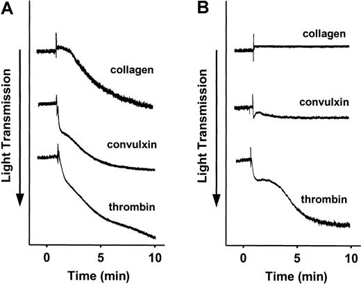 Fig. 1. Effect of deficiency of SLP-76 on platelet aggregation. / Aggregation of SLP-76+/− (A) or SLP-76−/−(B) platelets was measured in response to stimulation with 40 μg/mL collagen, 250 ng/mL convulxin, or 0.5 U/mL thrombin.