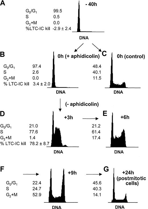 Fig. 1. Cell cycle synchronization of CD34+ cells and LTC-ICs. / Freshly isolated CD34+ cells reside in the G0/G1 phase of the cell cycle (A). Cells were prestimulated with SCF, FL, and TPO during 16 hours, after which they were reversibly blocked at the G1/S transition by a 24-hour treatment with 2 μg/mL aphidicolin (B) or kept in initial conditions (C). Cells were washed extensively and replated in fresh medium and cytokines to allow cell cycle progression. Cells quickly entered S phase after 3 hours (D). The cell cycle progression could be followed at further time points: After 6 and 9 hours, cells progressively reached G2+M (E-F). After 24 hours, the cells were back to nonsynchronized proliferation (G). Cell cycle status was determined by DNA staining with propidium iodide. A representative experiment is shown. The proportion of LTC-ICs in S phase was measured by HU killing assays (n = 4) at indicated time points.
