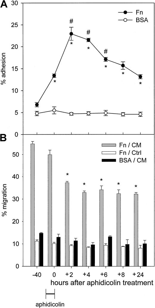 Fig. 2. Adhesion and transmigration capacities on Fn of synchronized CD34+ cells. / Cells were prestimulated with SCF, FL, and TPO during 16 hours, after which they were treated for 24 hours with 2 μg/mL aphidicolin. Cells were then washed and replated in fresh medium and cytokines to allow cell cycle progression. Cells were sampled after 2, 4, 6, 8, and 24 hours following aphidicolin treatment (n = 3). (A) Binding to Fn and BSA was determined at each time point. *P < .05 compared with uncultured cells (−40 hours); #P < .05 compared with cells blocked by aphidicolin in G1/S (0 hours). (B) Transmigration assays were carried out across Fn toward MS-5 CM (gray bars) and control medium (white bars) or across BSA toward MS-5 CM (black bars). *P < .05 compared with uncultured cells.