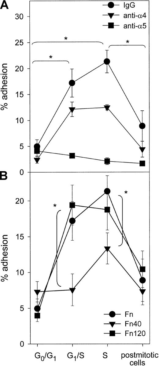 Fig. 3. Fn binding of synchronized CD34+ cells via α4 and α5 integrins. / (A) Adhesion to Fn-coated plates was determined in synchronized CD34+ cells at indicated stages of the cell cycle. The contribution of α4 or α5 integrin in mediating Fn binding was determined by incubating cells with specific blocking antibodies or control IgG prior to the adhesion assay (n = 4). *Percent adhesion of either IgG- or anti-α4–treated CD34+ cells was statistically different between indicated stages. (B) Adhesion of synchronized CD34+ cells was determined on whole plasma Fn, α4-binding 40-kDa (Fn40) fragment, or α5-binding 120-kDa (Fn120) fragment (n = 4). *Adhesion to the 40-kDa fragment was significantly lower compared with both whole Fn and the 120-kDa fragment (P < .05).