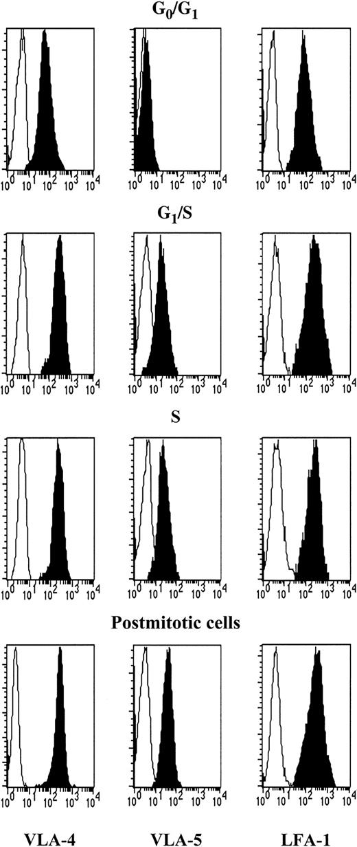 Fig. 8. Expression of VLA-4, VLA-5, and LFA-1 in CD34+ cells during cell cycle transit. / Synchronized CD34+ cells were labeled with anti–VLA-4, anti–VLA-5, or anti–LFA-1 (black histograms) at indicated stages. Background staining with isotype-matched IgG is shown in white histograms. A representative experiment is depicted.