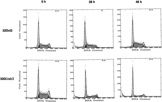 Fig. 4. 32D/Jak3 cells undergo G1 arrest within 24 hours after stimulation with G-CSF. / 32Dcl3 cells or 32D/Jak3 no. 10.3 cells were washed free of IL-3 and plated at a density of 1 × 105/mL in the presence of G-CSF. Aliquots of cell were removed at the indicated time (hours) after G-CSF treatment and subjected to FACS analysis.