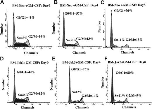 Fig. 9. Normal mouse BM cells retrovirally infected with Jak3 (BM-Jak3 cells) undergo accelerated G1 arrest following stimulation with GM-CSF. / Myeloblast-enriched BM cells from wild- type (C57/BL6) mice were infected with the retroviral vectors pMSCV-neo (A-C) or pMSCV-Jak3/neo (D-F). Cells were seeded in methylcellulose and selected in the presence of G418. Several colonies from each infection were expanded, transferred to liquid culture, and induced for differentiation with GM-CSF. At the indicated time points, aliquots of the cells were removed for FACS analysis. The cell cycle distribution of day 0 BM-Neo (A) and BM-Jak3 (D) cells is undistinguishable. In contrast to day 4 BM-Neo cells that showed no accumulation in G1 phase (B), BM-Jak3 cells (E) accumulated in G1 phase. By day 8, both BM-Neo (C) and BM-Jak3 (F) cells showed equivalent degree of G1 arrest.