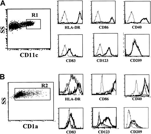Fig. 1. Comparison of phenotypic profiles of blood CD11c+ DCs, Mo-DCs, and ActMo-DCs. / (A) Blood CD11c+ DCs were obtained by lineage negative (Lin−) selection using magnetic beads and further sorting for CD11c+ cells (R1, a gate used for sorting). Histograms show expression of the cell-surface antigens on blood CD11c+ DCs in region R1 (dotted line, isotype control moAb; solid line, specific moAb). (B) Mo-DCs generated as described in “Patients, materials, and methods” had low levels of CD1a expression in most cases. Histograms show expression of the antigens on Mo-DCs and ActMo-DCs (generated in RPMI/5% AS, 200 U/mL GM-CSF, and 50 U/mL IL-4 and activated by LPS) in region R2 (dotted line, isotype control moAb; thin solid line, specific moAb on Mo-DCs; thick solid line, specific moAb on ActMo-DCs).