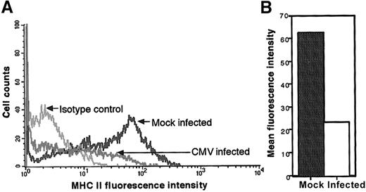 Fig. 1. Flow cytometry analysis of MHC class II protein levels on CMV latently infected adherent cells from GM-P cultures. / GM-Ps were infected with CMV strain Toledo (MOI of 3) or mock infected. Newly adherent cells were harvested and stained with anti–MHC class II (HLA-DR) antibody TU36 at day 10 after infection (A). The MFI of cell surface MHC class II levels is shown (B).