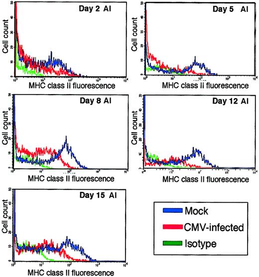 Fig. 3. Time course of MHC class II levels on mock- and CMV-infected adherent cells in GM-P cultures. / GM-Ps were infected with CMV strain TownevarRIT3 (MOI of 3) or mock infected, and newly adherent cells were harvested for staining with anti–MHC class II (HLA-DR) antibody TU36 at days 2, 5, 8, 12, and 15 after infection (AI). Isotype control antibody was also included at all time points.
