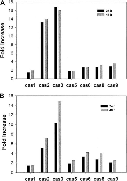 Fig. 4. CD437-mediated caspase activation. / WSU-CLL and ALL-REH cells were exposed to either 500 nM CD437 or vehicle alone for either 24 or 48 hours, at which time the cells were harvested and caspase activation was assessed as described in “Materials and methods.” The results shown are representative of 2 separate experiments. (A)WSU-CLL cells. (B) ALL-REH cells.