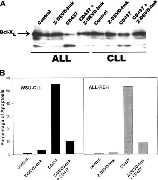 Fig. 8. Caspase-3–mediated cleavage of Bcl-XL. / WSU-CLL and ALL-REH cells were grown as described above and incubated with 200 nM Z-DEVD-fmk. Cells were harvested after 24 hours, and Bcl-XL cleavage (panel A) and induction of apoptosis (panel B) were assessed as described in “Materials and methods.”