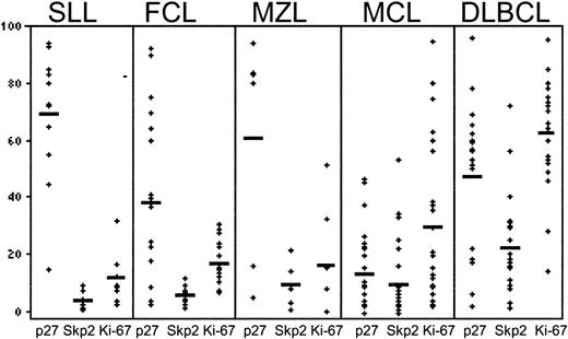 Fig. 3. Graphic representation of relationship between p27Kip1, Skp2, and Ki-67 expression in malignant lymphoma.