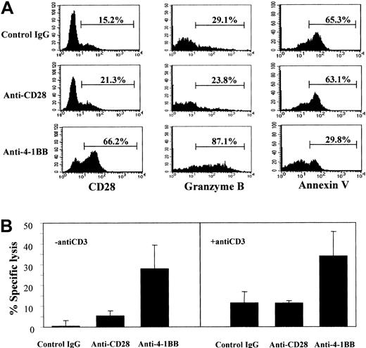 Fig. 5. Effect of anti–4-1BB costimulation on the differentiation of subset II cells. / Anti–4-1BB costimulation promotes the differentiation of subset II into III cells. Subset II cells were isolated by cell sorting from anti-CD28–stimulated CB CD8+ T cells after a 5-day culture in the presence of IL-15 and IL-12 as described in Figure 3A, and stimulated on plates precoated with isotype control IgG, anti-CD28, or anti–4-1BB plus anti-CD3 for 3 days. The resulting cells were analyzed for expression of CD28 and intracellular granzyme B as described in Figure 4. The cells were also analyzed for apoptosis by staining with annexin V (A). Percentages shown in the histograms represent the positive cells. Cells stimulated with the different antibodies were used as effectors in a standard 51Cr release assay at an effector cell–to–target cell ratio of 2:1 (B), as described above. The 51Cr release assays were performed in the presence or absence of anti-CD3 (1 μg/mL). The data are presented as the percentage of specific lysis. Subset II and III cells were purified and subjected to 51Cr release assays with the use of K562 cell line as target cells at an effector-to-target cell ratio of 2:1 in the presence or absence of anti-CD3. These data are representative of 3 experiments.