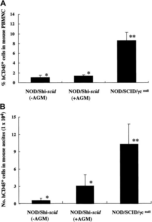 Fig. 3. High-engraftment efficiency of human cells in NOD/SCID/γcnull mice. / (A) Rates of human cells in peripheral blood from NOD/SCID/γcnull and NOD/Shi-scid mice with or without anti-asialo GM1 antibody 4 weeks after intravenous transfer of human CB CD34+ cells are shown. Some NOD/Shi-scid mice were treated with anti-asialo GM1 antibody immediately before cell transplantation. Percentage human CD45+ cells in mouse peripheral blood was assayed by flow cytometry. AGM indicates anti-asialo GM1 antibody. Asterisks indicate significant difference (P < .01) between data columns marked * and **. (B) Numbers of human cells in ascites from NOD/SCID/γcnull and NOD/Shi-scid mice with or without anti-asialo GM1 antibody 2 weeks after intraperitoneal transplantation of human PBMNCs are shown. Numbers of human CD45+ cells in ascites were calculated after flow cytometry. Antibody treatment was performed 1 day before cell transplantation in the same manner as CB CD34+ cell transplantation. Asterisks indicate significant difference (P < .01) between data columns marked * and **.