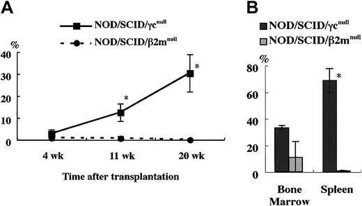 Fig. 5. Comparison of engraftment levels of human cells in NOD/SCID/γcnull and NOD/SCID/β2mnullmice. / (A) At the indicated times after 4 × 104CD34+ cell transplantation, human CD45+ cells in mouse peripheral blood were assayed by flow cytometry. (B) Percentage of human CD45+ cells in the BM and spleen in each mouse 5 months after transplantation was also examined (n = 3 each; total of 2 independent experiments). *P < .05.