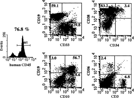 Fig. 7. Representative flow cytometric analysis of BM of mice that underwent transplantation. / Four months after CD34+ cell transplantation, BM cells were subjected to flow cytometry. NOD/SCID/γcnull mice show a significantly higher percentage of CD45+cells and of multilineage cells, including CD3+ T cells. Emergence of T cells was observed in all NOD/SCID/γcnull mice.