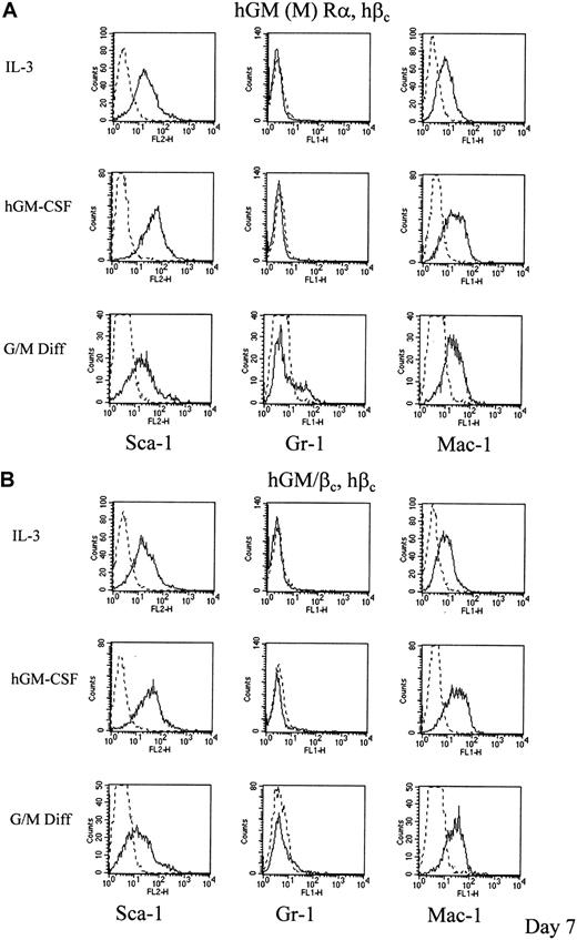 Fig. 7. hGM-CSF mediated changes in expression of differentiation markers of cells expressing mutant hGM-CSF receptors. / Cells expressing (A) hGM (M) Rα, hβc and (B) hGM/βc, hβc cells were cultured in 1 ng/mL hGM-CSF for 7 days. The levels of expression of the differentiation markers are shown as representative histograms from at least 3 experiments (____). Nonspecific labeling was determined using the corresponding isotype control (- - -). The results obtained for cells cultured in murine cytokines that promote G/M Diff for 7 days are also shown for comparison.