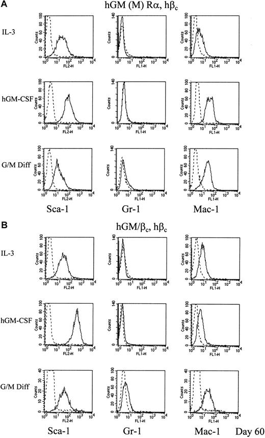 Fig. 8. hGM-CSF mediated changes in expression of differentiation markers of cells expressing mutant hGM-CSF receptors. / Cells expressing (A) hGM (M) Rα, hβc and (B) hGM/βc, hβc cells were cultured in 1 ng/mL hGM-CSF for 60 days. The levels of expression of the differentiation markers are shown as representative histograms from at least 3 experiments (____). Nonspecific labeling was determined using the corresponding isotype control (- - -). The results obtained for cells cultured in murine cytokines that promote G/M Diff for 7 days after 60 days culture in hGM-CSF are also shown.