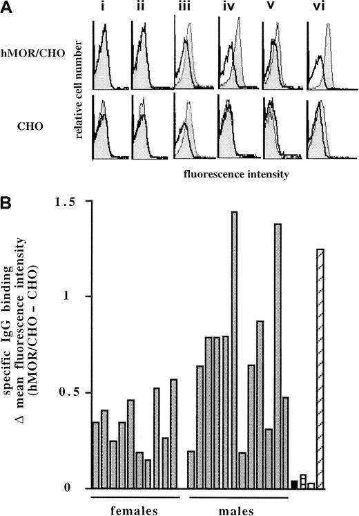 Fig. 1. Cytofluorometric assessment for the presence of anti-hMOR IgG antibody in 10 healthy women and 12 healthy men. / The presence of anti-hMOR IgG in 22 healthy humans was examined by cytofluorometry after affinity purification of serum IgG on the hMOR/CHO cell clone and depletion of nonspecific antibodies on untransfected CHO cells. Recombinant hMOR/CHO cells and untransfected CHO-K1 cells (106) were incubated with serial dilutions of IgG samples for 45 minutes at 4°C. Bound antibodies were revealed with biotin-labeled, goat anti-human IgG F(ab′)2–specific antibodies and PE-labeled streptavidin. Panel A depicts the binding (filled histogram) to recombinant hMOR/CHO cells (upper panel) and to untransfected CHO-K1 cells (lower panel) of unpurified IgG (i), affinity-purified anti-laminin IgG (ii), affinity-purified anti–CHO-K1 IgG (iii), and affinity-purified anti-hMOR IgG (iv) from a large pool of human IgG at a concentration of 20 μg/mL. A representative binding activity of affinity-purified anti-hMOR IgG from a woman (v) and a man (vi) is shown. The background (open histogram) was cells stained with labeled goat anti-human IgG F(ab′)2–specific antibodies and PE-labeled streptavidin alone. In panel B, data are expressed as mean fluorescence intensity (MFI) obtained from IgG staining with hMOR/CHO cells minus MFI obtained from IgG staining with untransfected CHO-K1 cells. Backgrounds with untransfected and hMOR-transfected CHO-K1 cell clones were similar. The histogram shows, for each donor IgG sample (░), the value obtained with a dilution at which CHO-K1 cell staining was similar to the background. Controls were the specific antibody-binding activity of unpurified IgG (▪), affinity-purified anti-laminin IgG (▤), affinity-purified anti-CHO IgG (■), and affinity-purified anti-hMOR IgG (▨) prepared from a pool of human IgG.