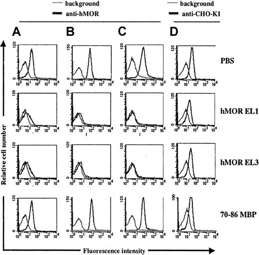 Fig. 2. Assessment of anti-hMOR F(ab′)2 specificity by cytofluorometry. / Affinity-purified anti-hMOR F(ab′)2 fragments were preincubated with either hMOR EL1 peptide, the hMOR EL3 peptide, or amino acid residues 70 to 86 of the guinea pig myelin basic protein (70-86 MBP) peptide for 1 hour at 37°C. Recombinant hMOR/CHO cells were incubated with 100 μL of the mixture for 45 minutes at 4°C. Bound antibodies were revealed by using biotin-labeled, goat anti-human IgG F(ab′)2–specific antibodies and PE-labeled streptavidin. Shown is the binding to the recombinant hMOR/CHO cell clone of 10 μg/mL affinity-purified anti-hMOR F(ab′)2fragments (thick black line) from either a large pool of samples from healthy donors (A), a sample from one healthy woman (B), or a sample from one healthy man (C) in the absence or presence of 20 μg/mL peptide. The binding activity to recombinant hMOR/CHO cell clones of 5 μg/mL affinity-purified anti–CHO-K1 F(ab′)2 fragments (thick black line) in the absence or presence of 20 μg/mL peptide is shown (D). The background (thin gray line) was the binding activity of anti-hMOR antibodies to untransfected CHO-K1 cells, which was superimposable to the staining of recombinant hMOR/CHO cells obtained by using either anti-laminin F(ab′)2 fragments or labeled goat anti-human IgG F(ab′)2–specific antibodies and PE-labeled streptavidin alone. One representative experiment of 3 is shown.