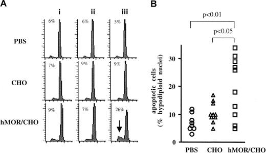 Fig. 4. Splenocytes from mice immunized against hMOR are sensitized to CD95-mediated apoptosis. / BALB/c mice were injected intraperitoneally with either PBS (n = 8), CHO cells (n = 10), or recombinant hMOR/CHO cells (n = 10). Mice were injected 9 times, with a 2-week interval between each injection. Panel A shows, for one representative mouse from each group, the DNA content of nuclei of splenocytes incubated for 24 hours in the absence (i) or presence of 5 μg/mL of either hamster anti-KLH IgG mAb (clone Ha4/8) (ii) or hamster anti-CD95 IgG mAb (clone Jo2) (iii). DNA content of nuclei was analyzed by cytofluorometry after incubation of the cells in hypotonic medium containing propidium iodide. Each experiment was performed at least in duplicate. The percentage of subdiploid DNA content is indicated. The arrow indicates nuclei with subdiploid DNA content typical of apoptosis. Panel B depicts the anti-Fas antibody–induced apoptosis of splenocytes from each mouse injected with PBS (○), CHO cells (▵), or hMOR/ CHO cells (■). Basal apoptosis of splenocytes in the absence or presence of hamster anti-KLH IgG mAb was 7% ± 3%. One-way analysis of variance was used for statistical analysis.