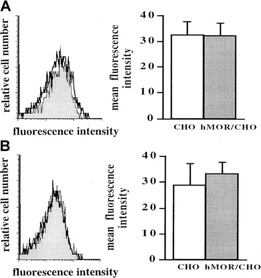 Fig. 6. Cytofluorometric analysis of Fas-receptor expression on spleen CD4 and CD8 lymphocytes from mice injected with CHO or hMOR/CHO cells. / Mice injected with recombinant hMOR/CHO cells in which splenocytes were not sensitized to Fas-mediated apoptosis were excluded from the analysis. Spleen cells from BALB/c mice injected with either untransfected CHO cells or recombinant hMOR/CHO cells were stained by using FITC-labeled anti-CD4 or anti-CD8 antibodies together with either PE-conjugated anti-CD95 or anti-KLH antibodies. Data were analyzed for Fas expression gated on either CD4 (A) or CD8 (B) T lymphocytes. The panel on the left shows a representative Fas staining on CD4 (top) and CD8 (bottom) T lymphocytes from CHO-injected mice (open histogram) and hMOR/CHO-injected mice (filled histogram). Histograms in the right panel show, for CHO-injected mice (n = 5; ■) and hMOR/CHO-injected mice (n = 3; ░), the corresponding means ± SD of the MFI.