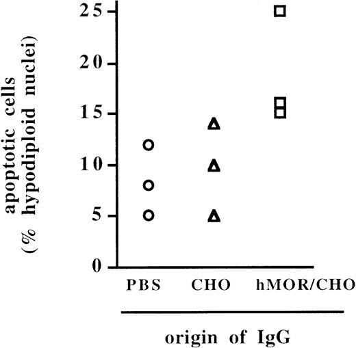 Fig. 7. Splenocytes from mice that underwent passive transfer with IgG from hMOR/CHO-injected mice are sensitized to CD95-mediated apoptosis. / Purified serum IgG (100 μg) from mice injected with either PBS (○), CHO cells (▵), or recombinant hMOR/CHO cells (■) were transferred by intravenous injection into naive BALB/c mice. Twenty-four hours later, the mice given IgG injections were killed. Shown is the percentage of subdiploid nuclei when splenocytes were incubated in the presence of anti-Fas IgG mAb Jo2 for 24 hours. Nuclei DNA peak was analyzed by cytofluorometry after incubation of the cells in hypotonic medium containing propidium iodide. Each experiment was performed in duplicate. Basal apoptosis of splenocytes in the absence or presence of hamster anti-KLH IgG mAb was 8% ± 2%.