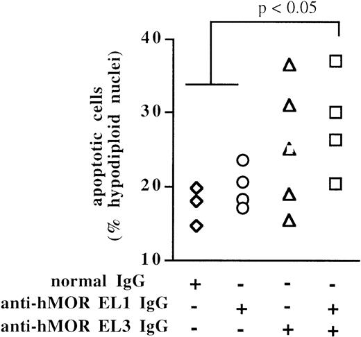 Fig. 9. Splenocytes from mice that underwent passive transfer with both anti-hMOR EL1 IgG and anti-hMOR EL3 IgG are sensitized to CD95-mediated apoptosis. / Two hundred micrograms of either normal IgG (⋄), anti-hMOR EL1 IgG (○), anti-hMOR EL3 IgG (▵), or anti-hMOR EL1 IgG (100 μg) together with anti-hMOR EL3 IgG (100 μg) (■) were transferred by intravenous injection into naive BALB/c mice, which were killed 24 hours later. Shown is the percentage of subdiploid nuclei when splenocytes were incubated in the presence of anti-Fas IgG mAb Jo2 for 24 hours. Nuclei DNA peak was analyzed by cytofluorometry after incubation of the cells in hypotonic medium containing propidium iodide. Each experiment was performed in triplicate. Basal apoptosis of splenocytes in the absence or presence of hamster anti-KLH IgG mAb was 18% ± 3%. Statistical analysis was performed with the Mann-Whitney U test.