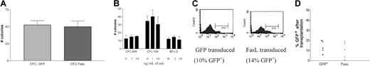Fig. 2. FasL expression in lin− BMs did not inhibit generation of CFCs or syngeneic in vivo engraftment, assessed early after BMT. / (A) B6.SJL lin− BMs were transduced with either the FasL(-GFP fusion) or control GFP vector as described in “Materials and methods,” then 3 × 103 cells were plated in CFC assay medium as described in “Materials and methods.” The results are the averages (and SEM) of 4 separate experiments. (B) CFCs were assayed from untransduced B6.SJL lin− BMs that were exposed to sFasL in vitro, at the concentrations indicated, for 24 hours prior to plating in methylcellulose. Colonies were counted 7 days later; shown are the averages of 2 separate experiments. (C) BALB/c lin− BMs were transduced with either the GFP control or FasL vector, then 105 cells were transplanted into 850-cGy irradiated syngeneic mice (5 mice/group). Shown is the histogram of GFP expression in the starting population of transduced lin− BMs. (D) At 3 weeks after transplantation of the cells shown in panel C, mice were tail bled to determine the percentage of circulating transduced cells. Whole blood was collected by tail bleeds and red cells removed by hypotonic lysis, then analyzed by FACS for GFP expression. The graph shows the percent GFP+ blood cells after transplantation (each point represents one mouse).