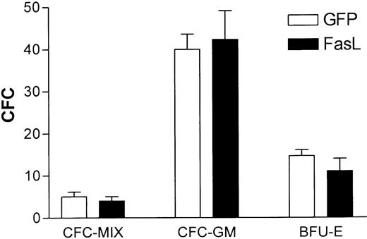 Fig. 4. Mice that received transplants of FasL+lin− BMs did not have diminished numbers of BM CFCs early after BMT. / After the mice described in Figure 3 were killed, whole BM (3 × 105 cells) was assayed for CFCs (triplicates). Seven days after plating, colonies were counted (averages ± SEM are shown).