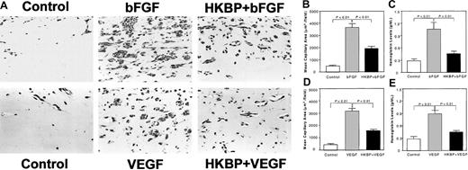 Fig. 2. Effect of kallistatin on VEGF- or bFGF-induced angiogenesis in Matrigel implants. / (A) Histologic analysis of implanted Matrigel plugs. Matrigel mixed without or with VEGF or bFGF (150 ng/mL) in the presence or absence of 2 μM kallistatin (HKBP) was injected subcutaneously into mice. The Matrigel plugs were stained with Masson trichrome at 1 week after injection. (B,D) Quantitation of mean capillary area in implanted Matrigel plugs. Each value represents mean area ± SEM (n = 6). (C,E) Hemoglobin levels in implanted Matrigel. Each value represents mean ± SEM (n = 5).