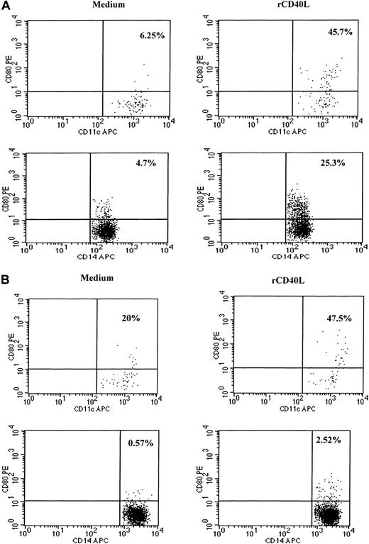 Fig. 5. rCD40L induces activation of dendritic cells and monocytes as evidenced by up-regulation of CD80 molecules. / Blood from a healthy donor (A) and patient with low tumor burden (B) was stimulated with medium or rCD40L for 8 hours and then stained, and lineage-negative cells were analyzed for the coexpression of HLA-DR/CD11c and CD80 or CD14 and CD80. Right upper quadrant numbers represent the percentages of double-positive cells.